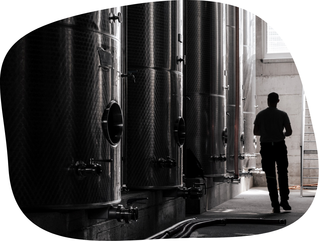 cantina Salariis Friuli Venezia Giulia