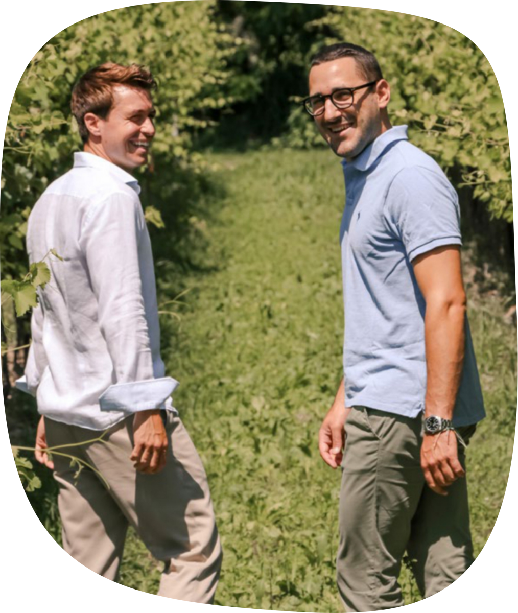 Salariis cantina friulana immersa nell'ambiente