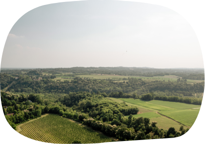 cantina Salariis Friuli Venezia Giulia